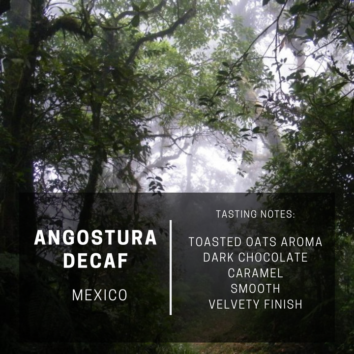 Mexico Angostura Decaf