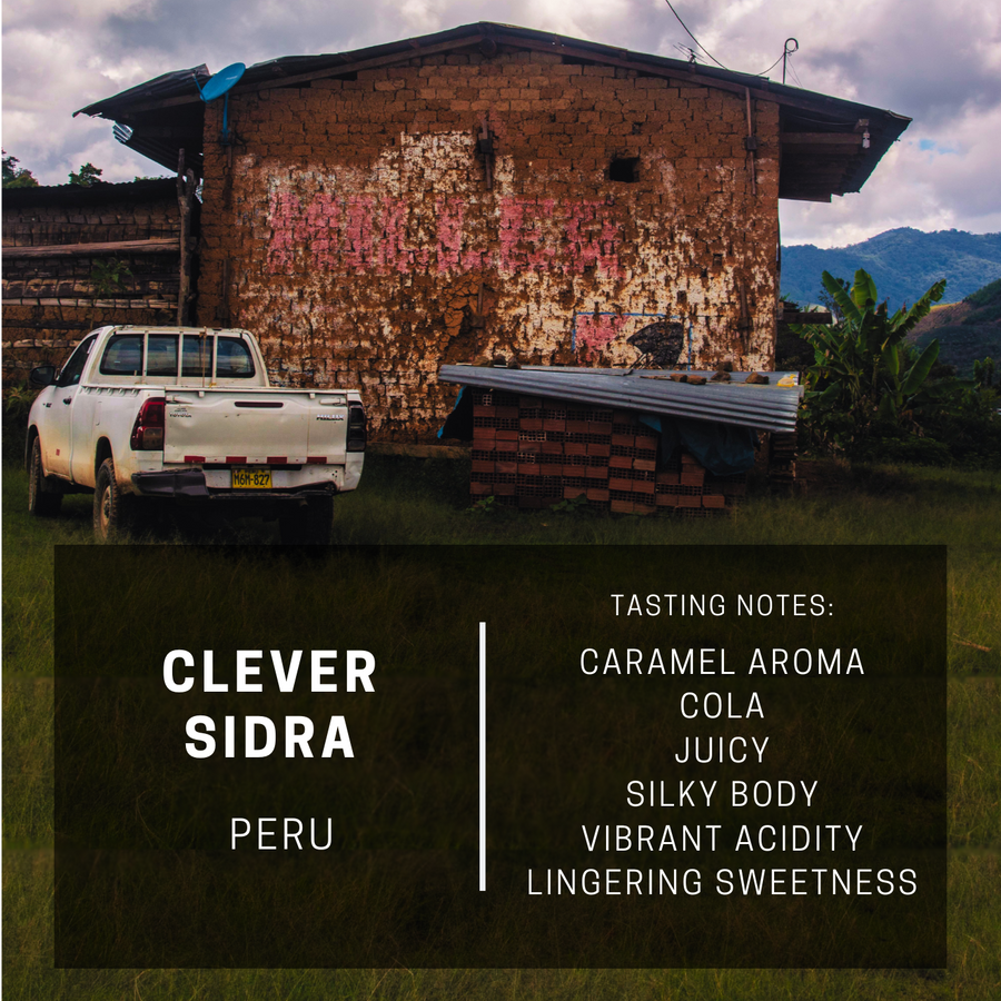 Peru Clever Sidra