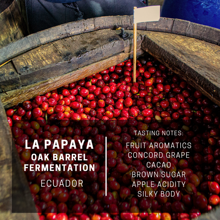 Ecuador La Papaya Oak Barrel Fermentation