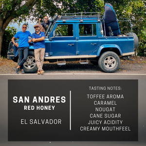 El Salvador San Andres Red Honey